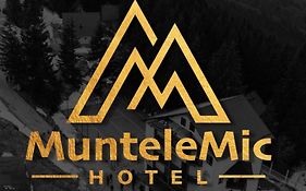 Hotel Muntele Mic